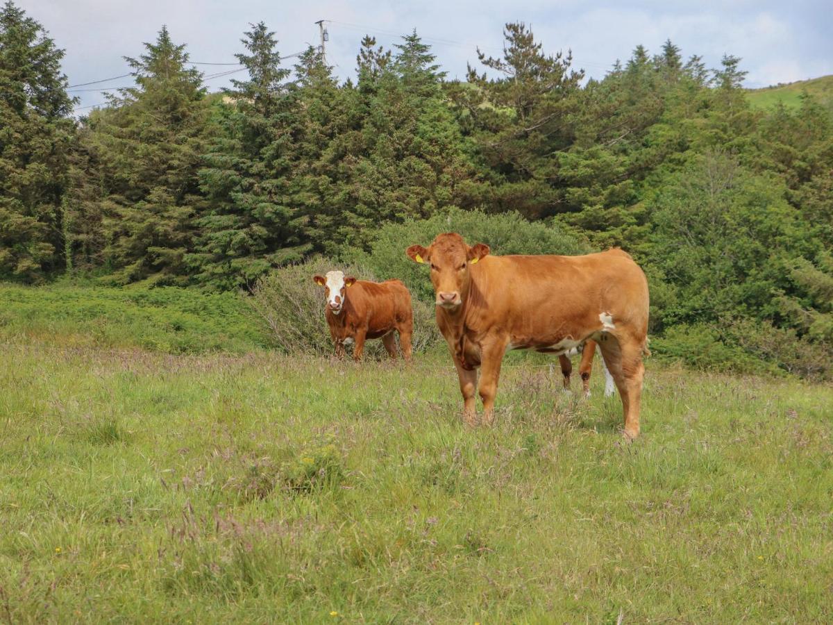 Dooneen Villa Skibbereen Buitenkant foto